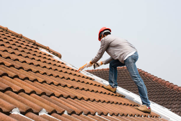 Best Roof Installation  in Wallace, FL