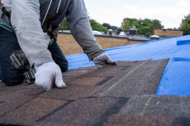 Best Chimney Flashing Repair  in Wallace, FL